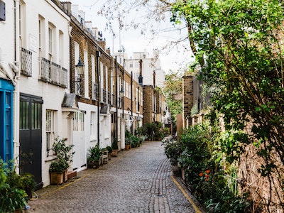 Row of houses on cobbled street with greenery on either side of road, and tree branches covering right hand side of frame.